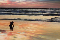 Jugando en la playa: tira las piedras “plop-plop”