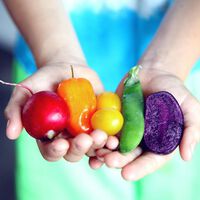Han inventado una nevera que funciona sin electricidad. Tira de ciencia para conservar frutas y verduras frescas