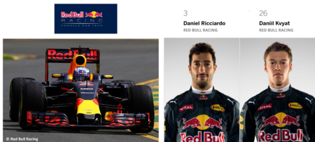 Red Bull F1 Team