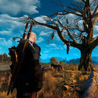 Fue uno de tus primeros maestros en The Witcher 3: Wild Hunt y acabó ahorcado del árbol más famoso de Velen 