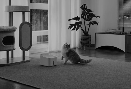 Xiaomi Smart Camera C701 Night