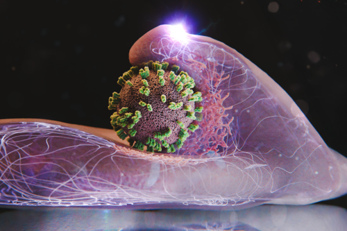 Vírus e célula | Fonte da ilustração: Emma Hyde / ETH Zurich