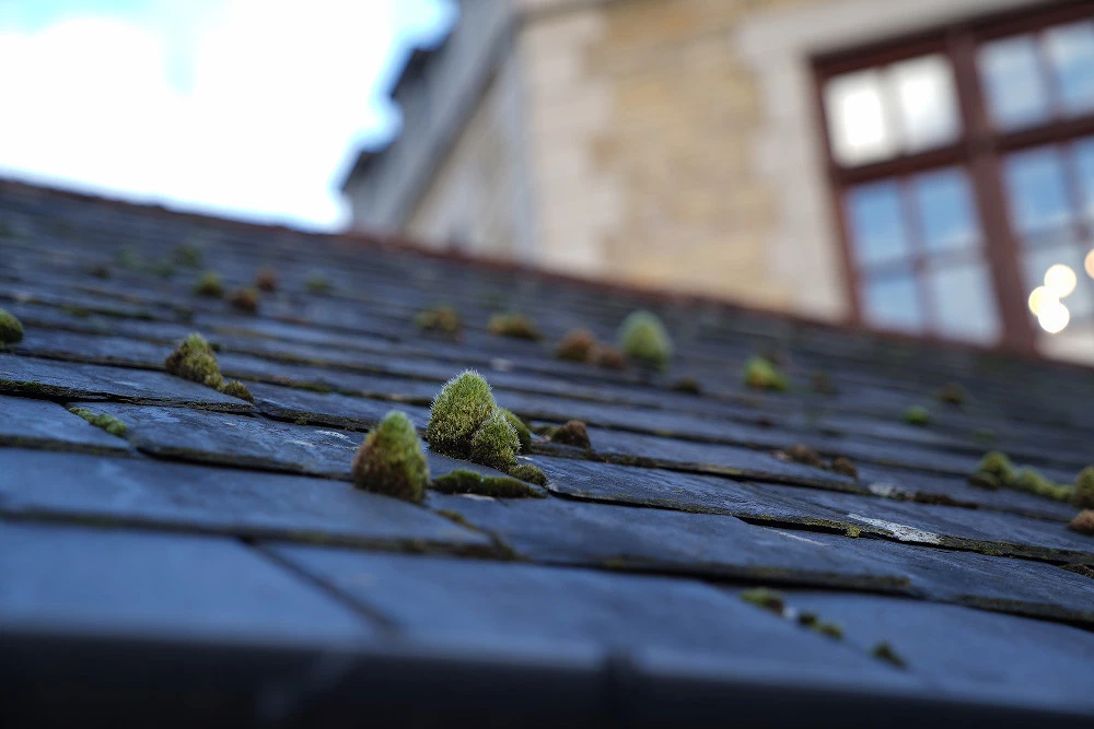 Foto de Sony A7 III - Muestras toma de contacto (14/17)