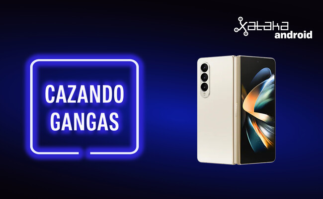 Cazando Gangas