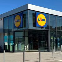 Mañana lunes, 22 de junio, llegan a Lidl las zapatillas tipo Skechers cómodas y baratas para caminar a diario 