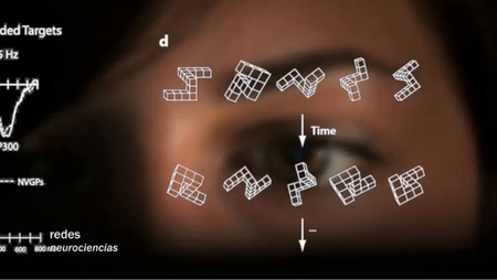 Los efectos positivos de los videojuegos en el cerebro según la neurobióloga Daphne Bavelier
