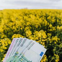 La retribución flexible entre los empleados, una ventaja para tu pyme