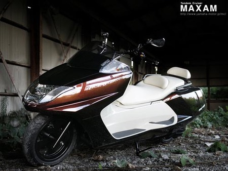 Yamaha Tandem Cruiser Maxam