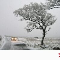 El frío en los coches diésel: cómo evitar que el gasóleo se congele en el depósito