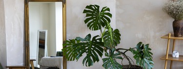 Lidl tiene el mueble estrecho perfecto para mantener el orden en un recibidor pequeño