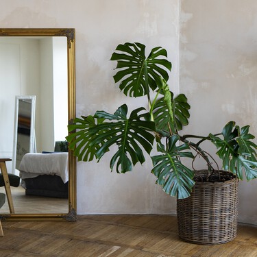 Lidl tiene el mueble estrecho perfecto para mantener el orden en un recibidor pequeño