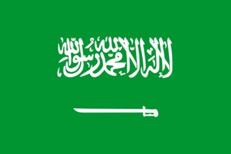 Arabia Saudí protesta por el dominio .gay