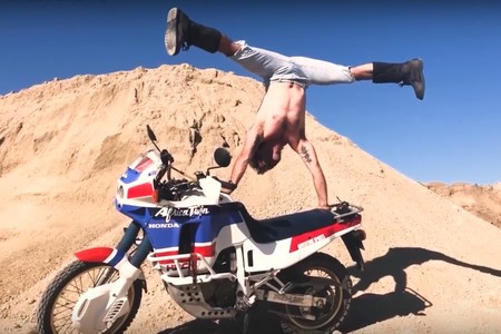 Wilbur En El Desierto 1