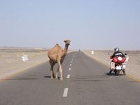 Arabia Saudi prohibe las motos