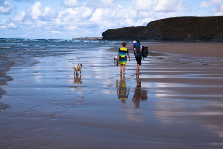 Perro Vacaciones 1