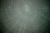 La Web cumple 16 años