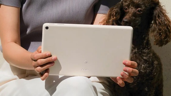 Pixel Tablet