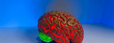 El cerebro de los hombres envejece peor, pero ellas desarrollan más Alzheimer: una paradoja que desconcierta a los científicos 