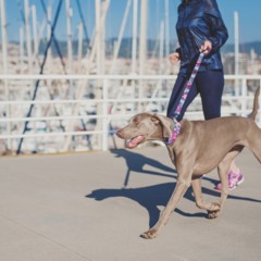 Foto 4 de 9 de la galería brott-barcelona en Trendencias Lifestyle