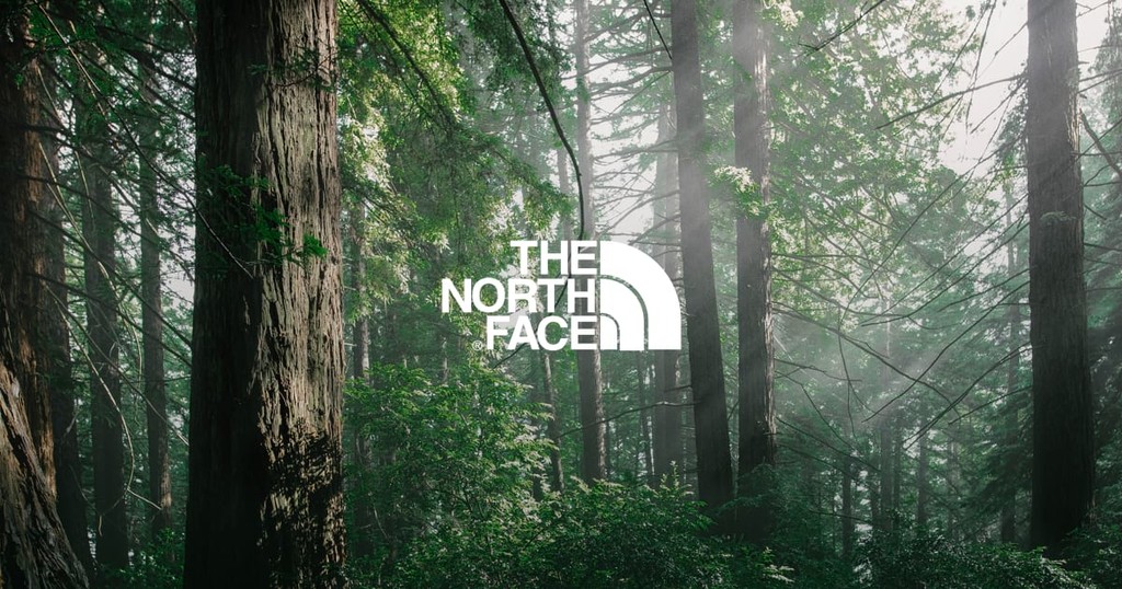 Llega el invierno y nosotros recopilamos varias ofertas en Amazon de The North Face por menos de 30 euros