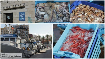 Visitamos la lonja de pescados ¿Sabes cómo funciona la subasta?