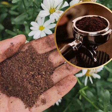 3 usos que puedes darle a los residuos de café para no desperdiciarlos en casa y darles una segunda oportunidad 
