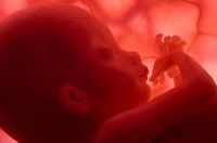 Embarazo mes a mes: séptimo mes