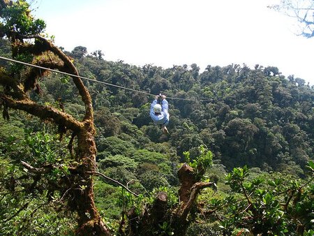 Canopy en Costa Rica