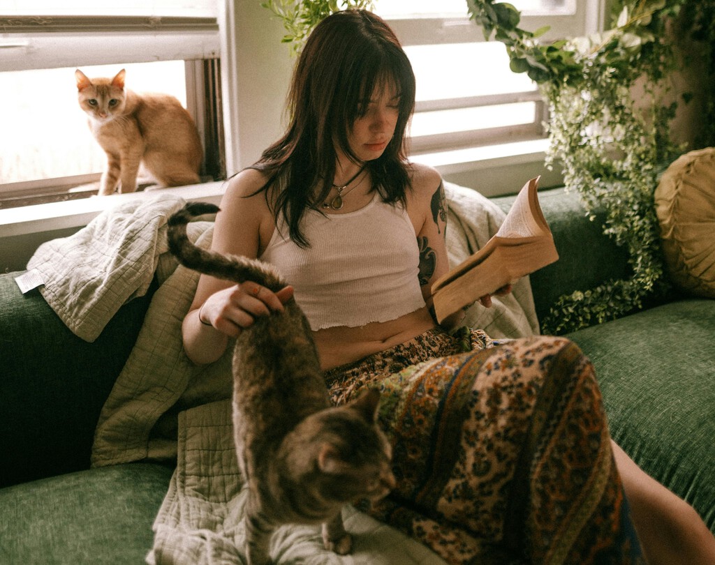 Adiós al mal olor y a limpiar la arena de tu gato: este arenero inteligente lo hace automáticamente y se controla desde el móvil 