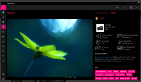 Así es Perfect Flickr, una app de terceros que te deja acceder a Flickr desde dispositivos con Windows 10