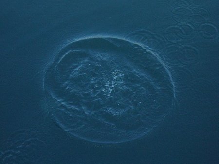 Internet tan 'vital' como el aire, el agua o los alimentos para uno de cada tres jóvenes