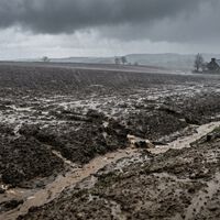 Francia arrancó 12.000 kilómetros de setos porque estorbaban a los tractores. Décadas después descubrió que frenaban algo mucho peor
