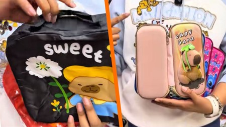 En este local de CDMX puedes comprar todo para el regreso a clases: loncheras, termos y lapiceras con modelos de capibaras, Stitch y Labubus desde 15 pesos