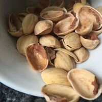 Se você tem cascas de pistache em casa, tem um tesouro: elas podem melhorar a vida das suas plantas 