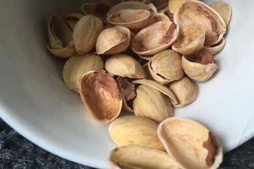 Cascas de pistache trituradas podem dar mais vida às suas plantas e protegê-las de pragas | Imagem: PxHere