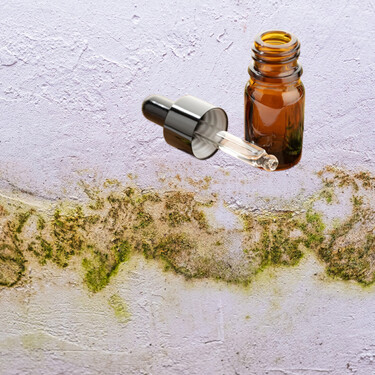 El truco definitivo para hacer desaparecer el olor a humedad en casa: de forma rápida y eficaz y con solo dos ingredientes