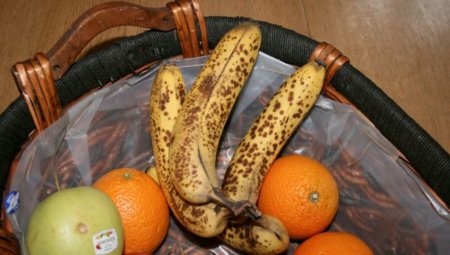¿Qué hacer con los plátanos maduros? Te damos algunas ideas
