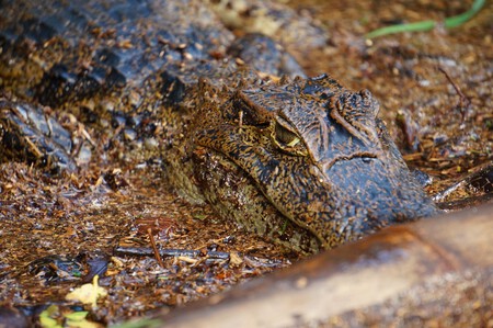 Costa Rica Anabel Palomares 13