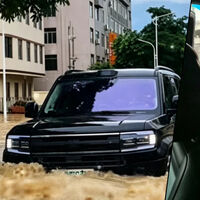Tras las inundaciones de China, el vicepresidente de BYD ha tenido que recordar que sus coches no son lanchas. A sus dueños les ha dado igual 