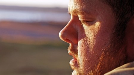 El acompañante durmiente