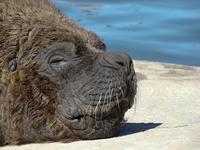 ¿El que paga descansa?