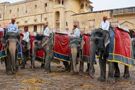 India: A lomos de elefante hasta el Amber Fort