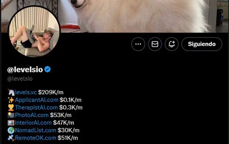 彼の主なプロジェクトのそれぞれからの月収の詳細は、X の略歴に記載されています。