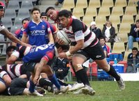 Volar y caer, no caer sin volar