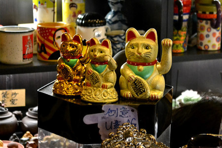 gato
