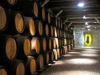 Descubriendo Oporto: las bodegas Sandeman