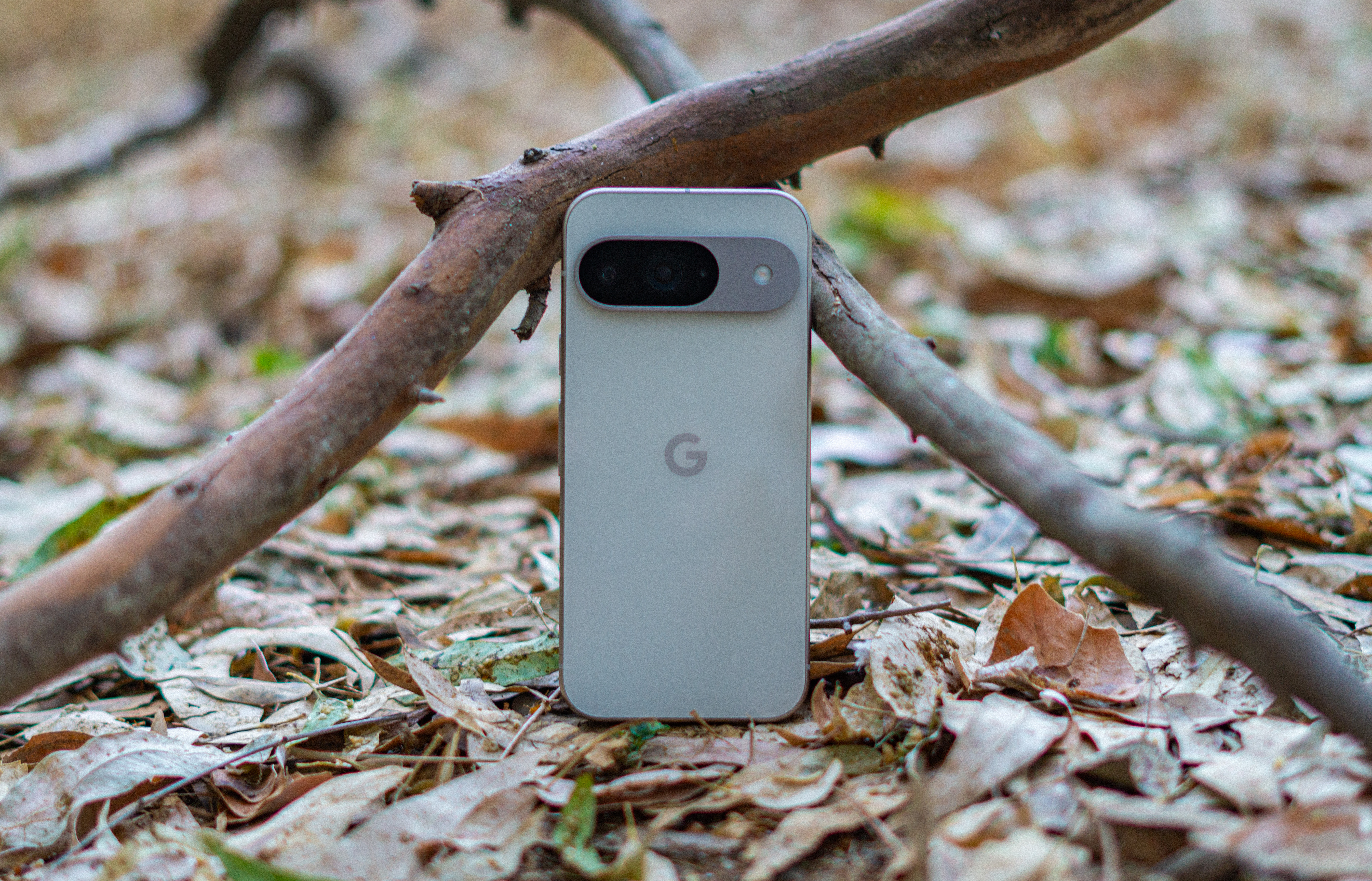 Google Pixel 9