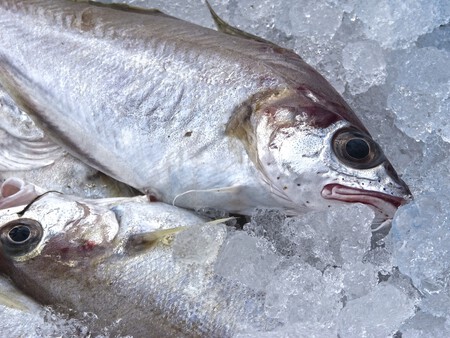 Pescado