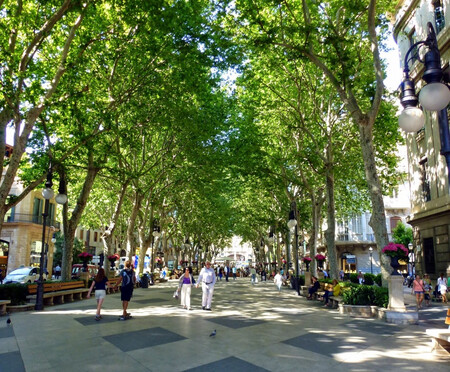 Milla De Oro Visit Palma