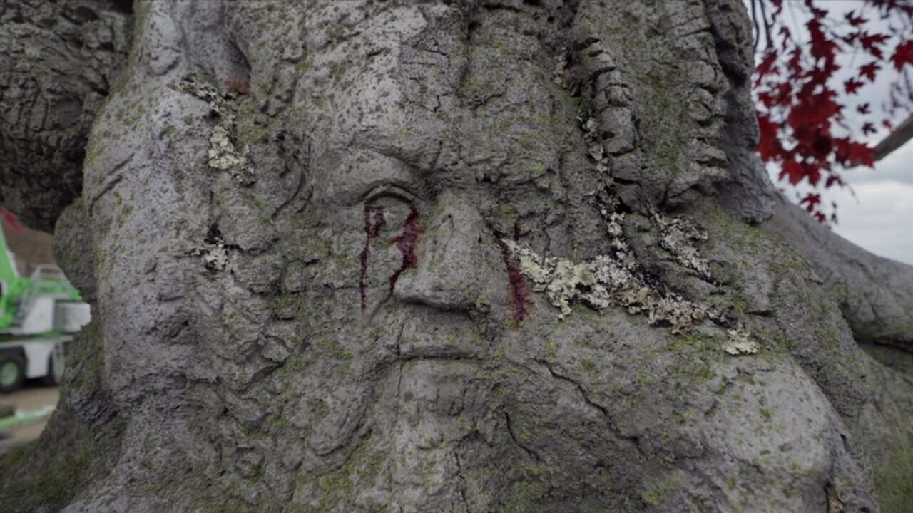 George R.R. Martin acaba de hacer su primer cameo en 'La casa del ...